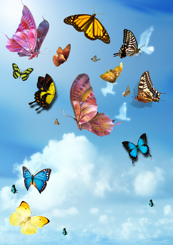 Butterflies PSD Template
