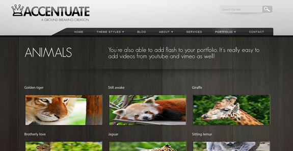 Accentuate, WordPress Gallery of Photography Themes