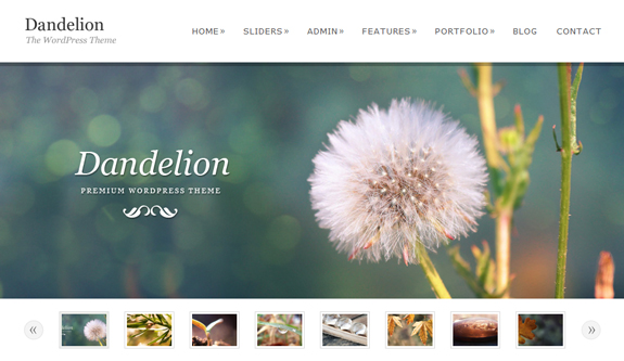 Dandelion, WordPress Gallery of Photography Themes