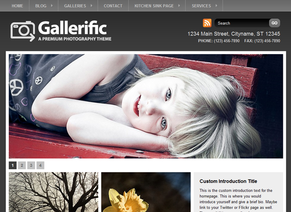 Gallerific, WordPress Gallery of Photography Themes