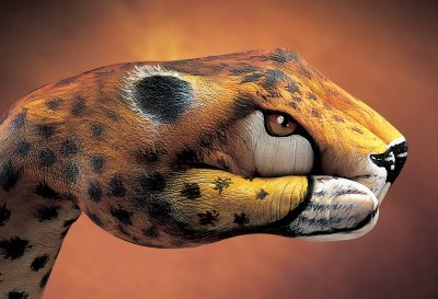Cheetah Hand Painted Illusion