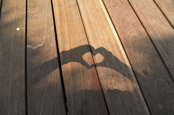 Shadow Love