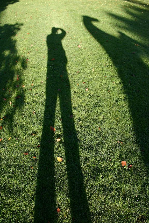 Long Legs in Shadow