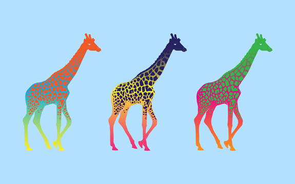 Giraffe Minimal Wallpaper