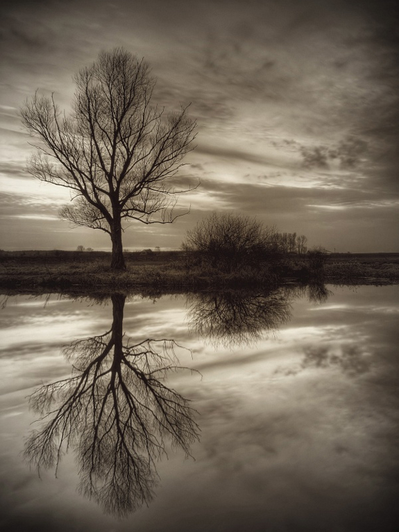 Amazing Photos of Mirror and Reflection Photography 26