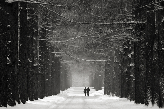 Winter Street Photography