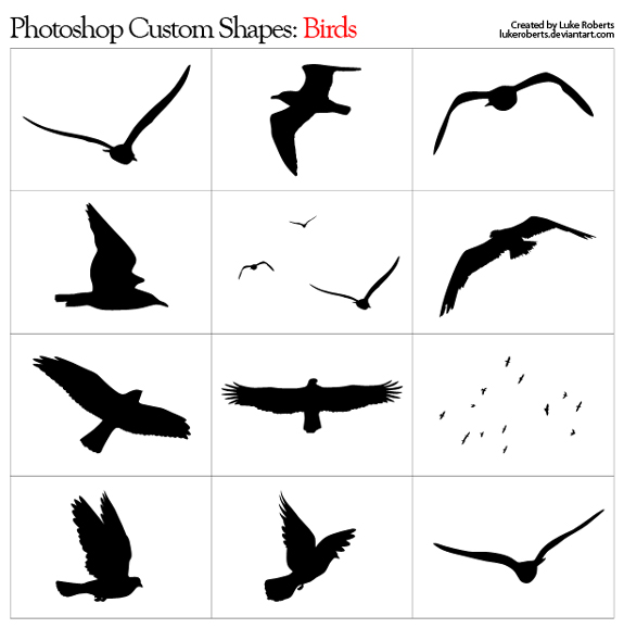 Custom Shapes: Birds