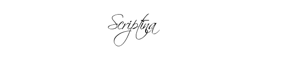 Calligraphy Fonts Free Download