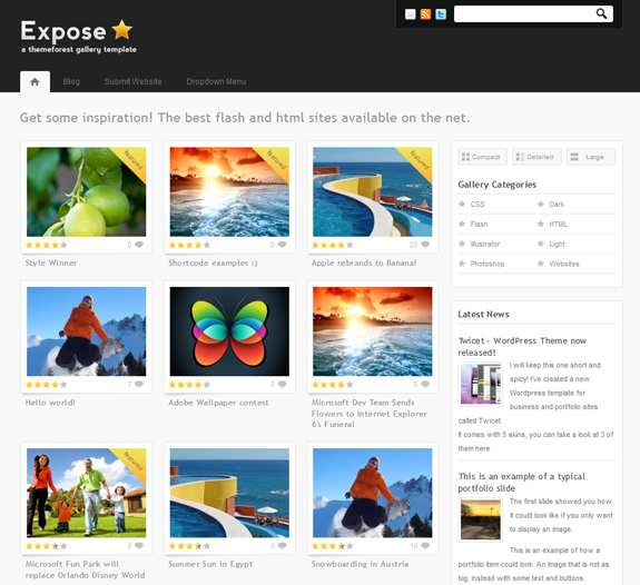 Wordpress Gallery Themes