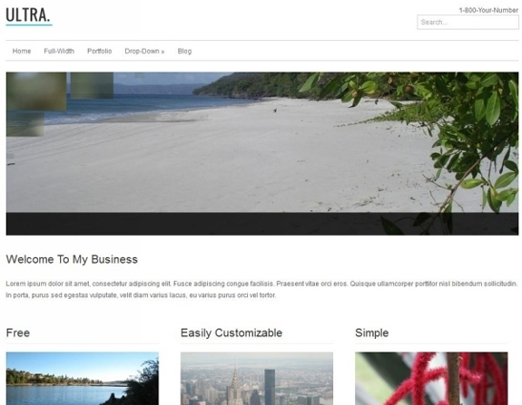 WordPress Business Theme