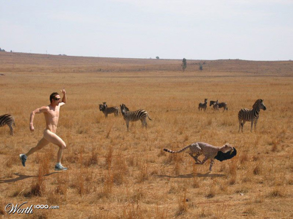 Safari Run - Crazy Pictures