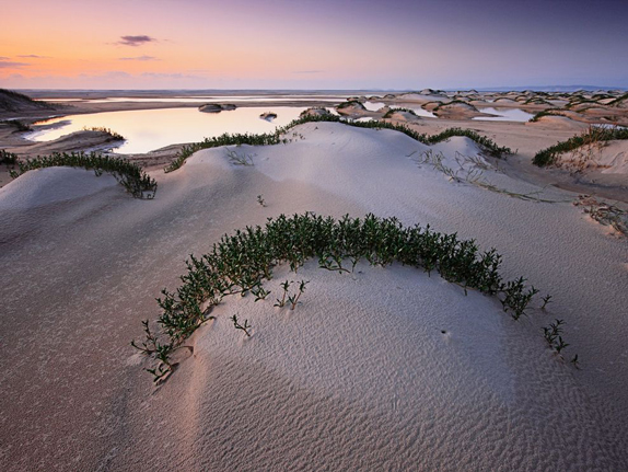 Sand Dune, Fraser Island