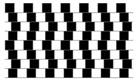 Optical Illusion Image