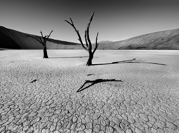 Amazing Desert Photo