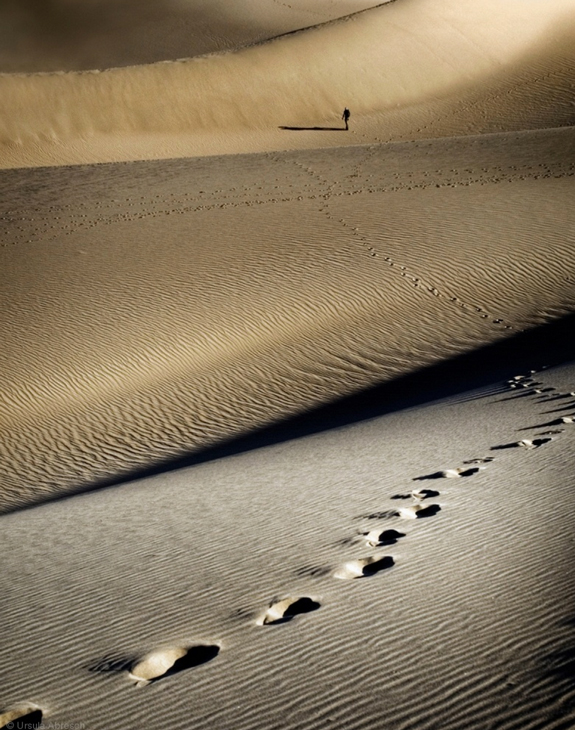 Amazing Desert Photography Images
