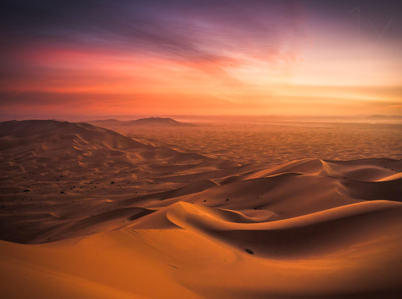 Desert Photos