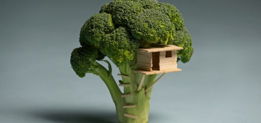 House on Tree - Random Picture